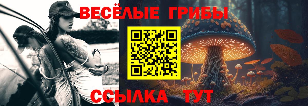 Галлюциногенные грибы Magic Shrooms Россия